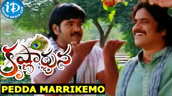 Pedda MarriKemo Song Lyrics image