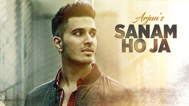 Sanam Ho Ja Song Lyrics image