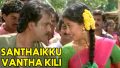 Santhaikku Vantha Kili Song Lyrics