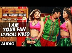 I Am Your Fan Song Lyrics