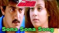 Sona Sona Song Lyrics
