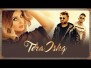 Tera Ishq Song Lyrics