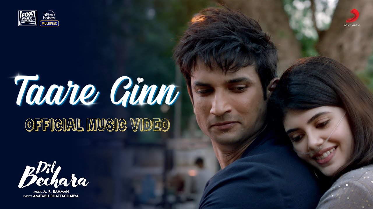 Taare Ginn Song Lyrics image