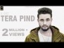 Tera Pind Song Lyrics