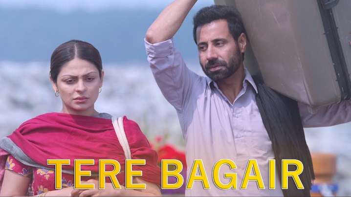 Tere Bagair Song Lyrics image