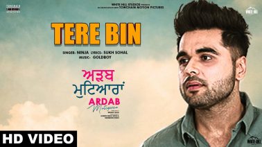Tere Bin Song Lyrics