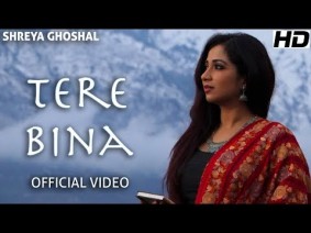 Tere Bina Song Lyrics