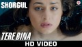 Tere Bina Song Lyrics