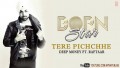 Tere Pichchhe Song Lyrics