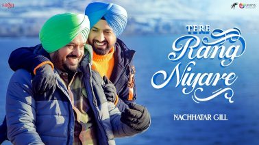 Tere Rang Niyare Song Lyrics