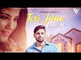 Teri Jaan Ban Ja Song Lyrics