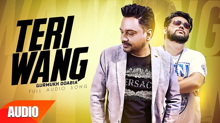 Teri Wang Song Lyrics image