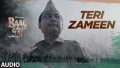 Teri Zameen Song Lyrics