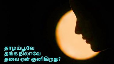 Thazhampoove Song Lyrics