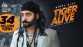Tiger Alive Song Lyrics