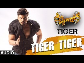 Tiger Tiger Song Lyrics