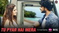 Tu Pyar Hai Mera Song Lyrics