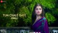 Tum Chale Gaye (Female) Song Lyrics