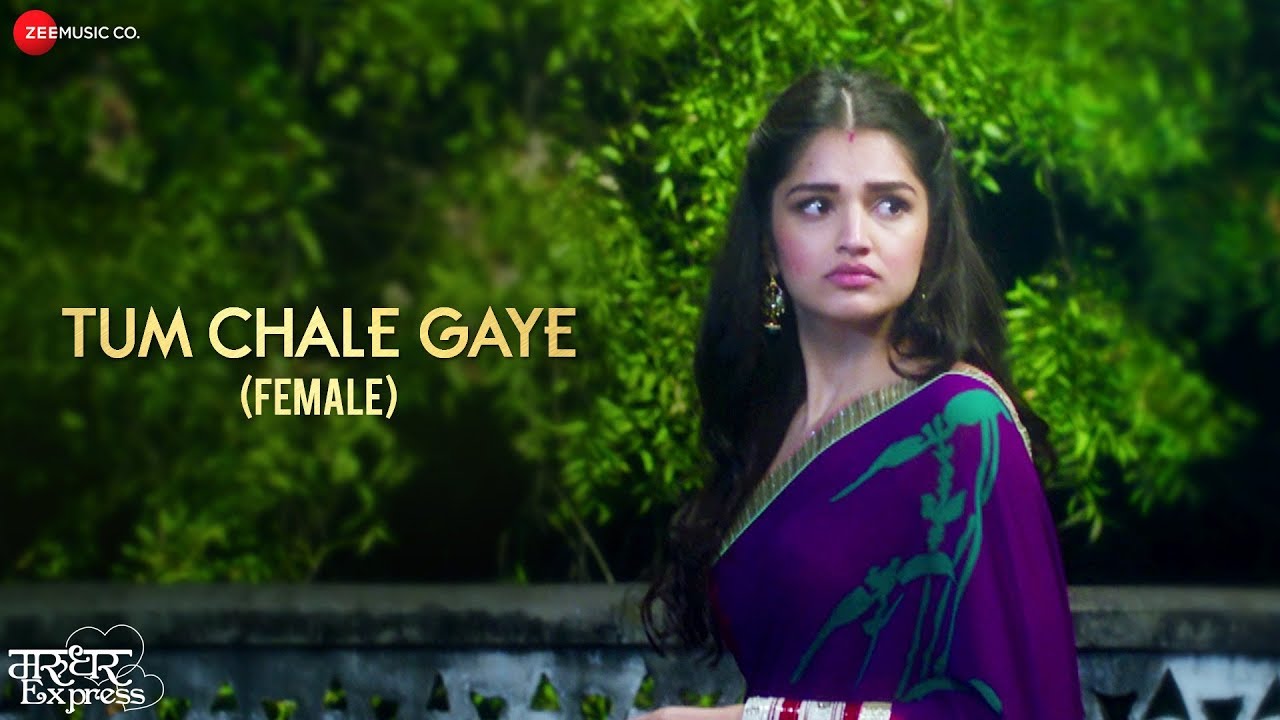 Tum Chale Gaye (Female) Song Lyrics image