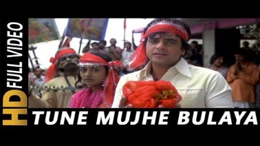 Tune Mujhe Bulaya Sherawaliye Song Lyrics