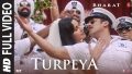 Turpeya Song Lyrics