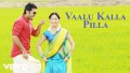 Vaalu Kalla Pilla Song Lyrics