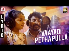 Vaayadi Petha Pulla Song Lyrics
