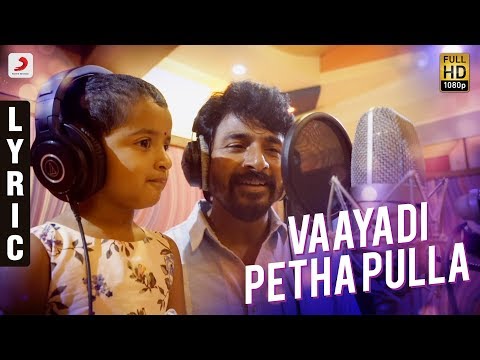 Vaayadi Petha Pulla Song Lyrics image