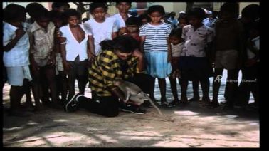 Vanaththai Parthen Song Lyrics
