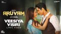 Veesiya Visiri Song Lyrics
