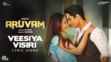 Veesiya Visiri Song Lyrics