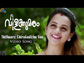 Thithaaro Chirakadichu Vaa Song Lyrics