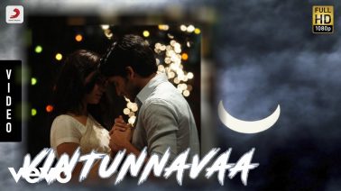 Vintunnavaa Song Lyrics