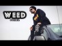 Weed Da Saroor Song Lyrics