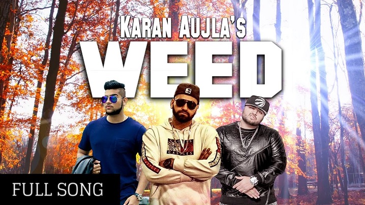Weed Song Lyrics image