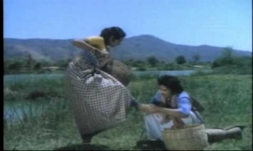 Aatukutti Muttai Ittu Song Lyrics
