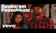 Aavaaram Poovukkum Song Lyrics