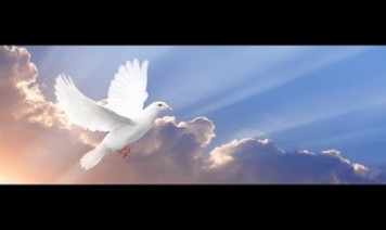 Aaviyanavare anbin aaviyanavare Song Lyrics