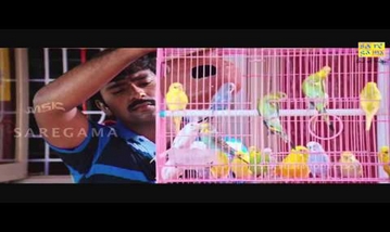 Amma Thaane Song Lyrics image