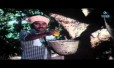Bhoopalam Isaikkum Song Lyrics