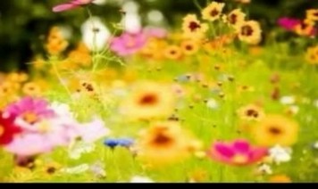Dil Churane Wale Song Lyrics