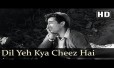 Dil Yeh Kya Chiz Hai Song Lyrics