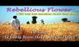 Ek Fakira Jhoom-Jhoom Kar Gata Jaye Song Lyrics