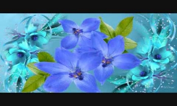 Ekka Chakkamai Song Lyrics image