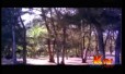 En Iniya Pon Nilave Song Lyrics