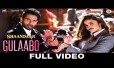 Gulaabo Song Lyrics