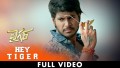 Hey Tiger Song Lyrics