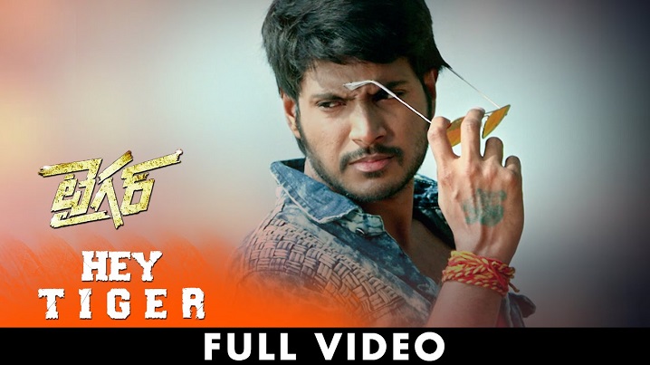 Hey Tiger Song Lyrics image