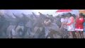 Oru Punnagai Poove Song Lyrics