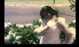 Iru Paravaigal Song Lyrics